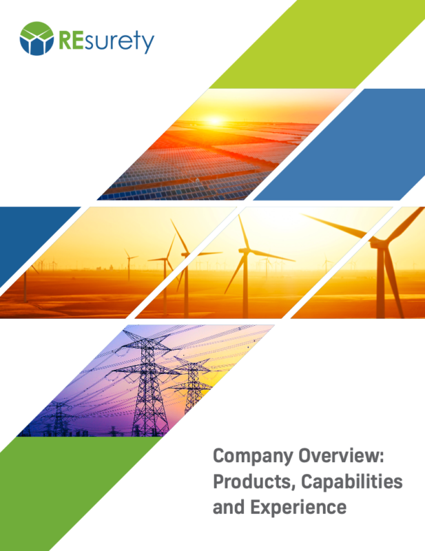 REsurety Company Overview Brochure
